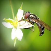 /album/emlochagen/photolia-a02-jpg/