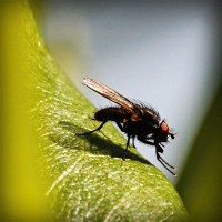 /album/emlochagen/photolia-a04-jpg/