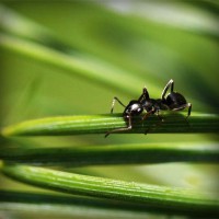 /album/emlochagen/photolia-a05-jpg/