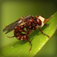 /album/emlochagen/photolia-a06-jpg/