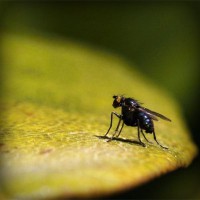 /album/emlochagen/photolia-a07-jpg/